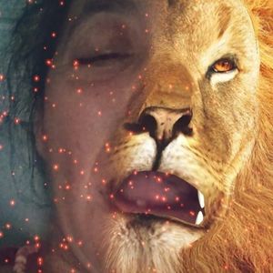 Meet your Posher, Mollie